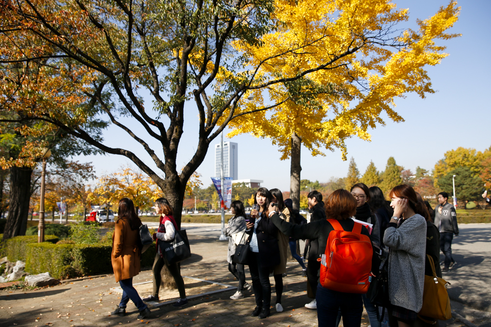 Campus-Autumn 2014